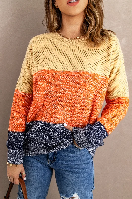 Color Block Netted Texture Pullover Sweater